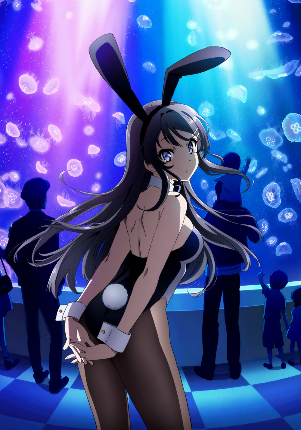 Rascal Does Not Dream of Bunny Girl Senpai